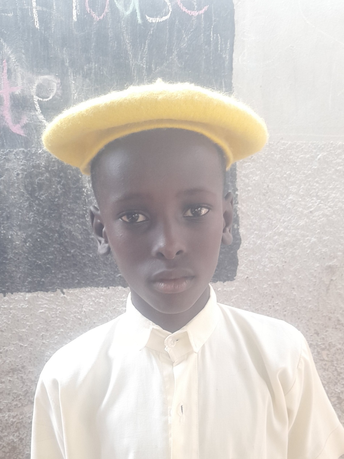 Muhammad Adamu Usman